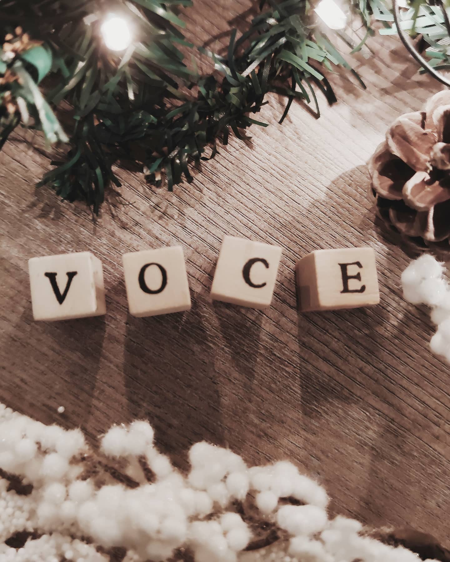13° PASSO // VOCE