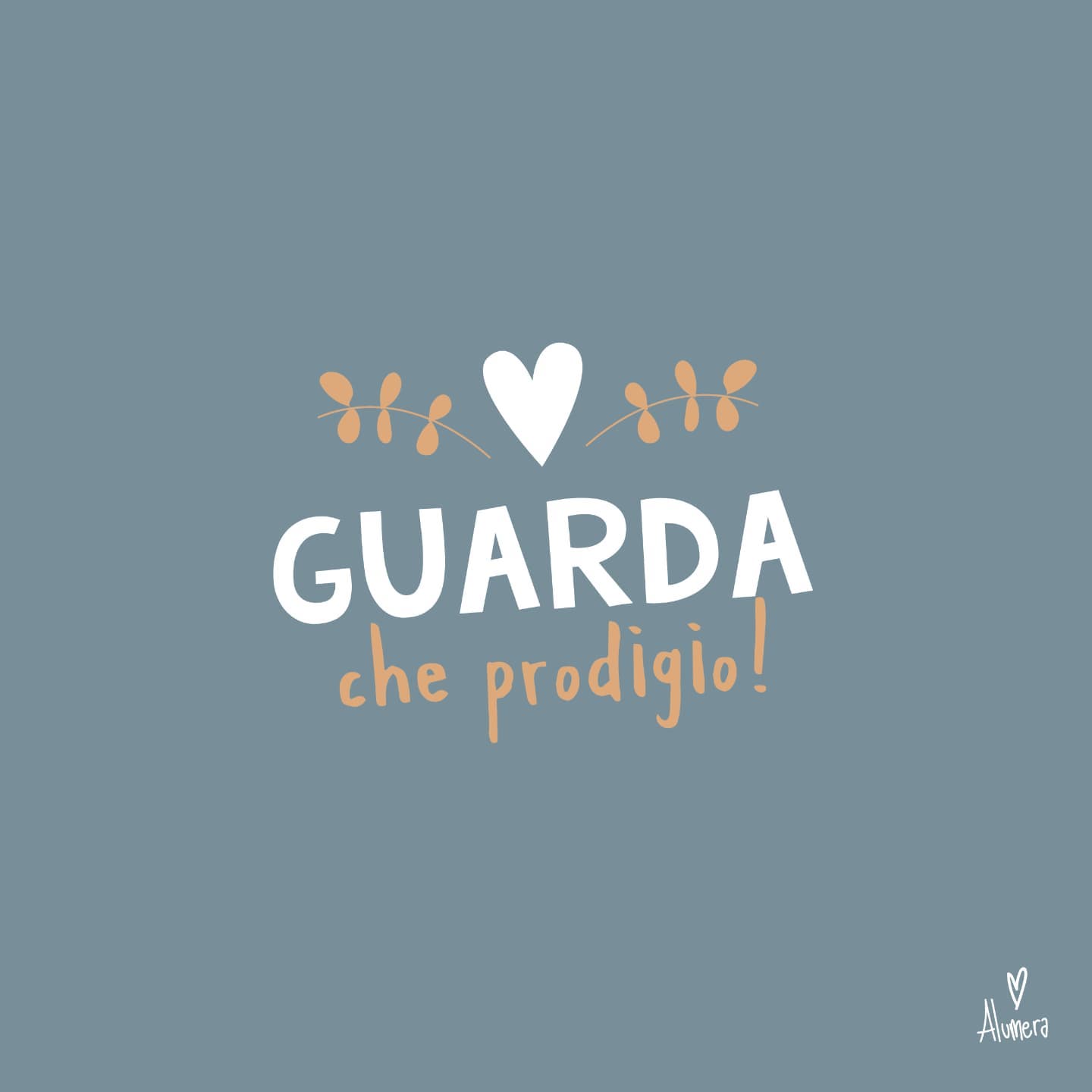 🤩👣✨ 12•PASSO // PRODIGI